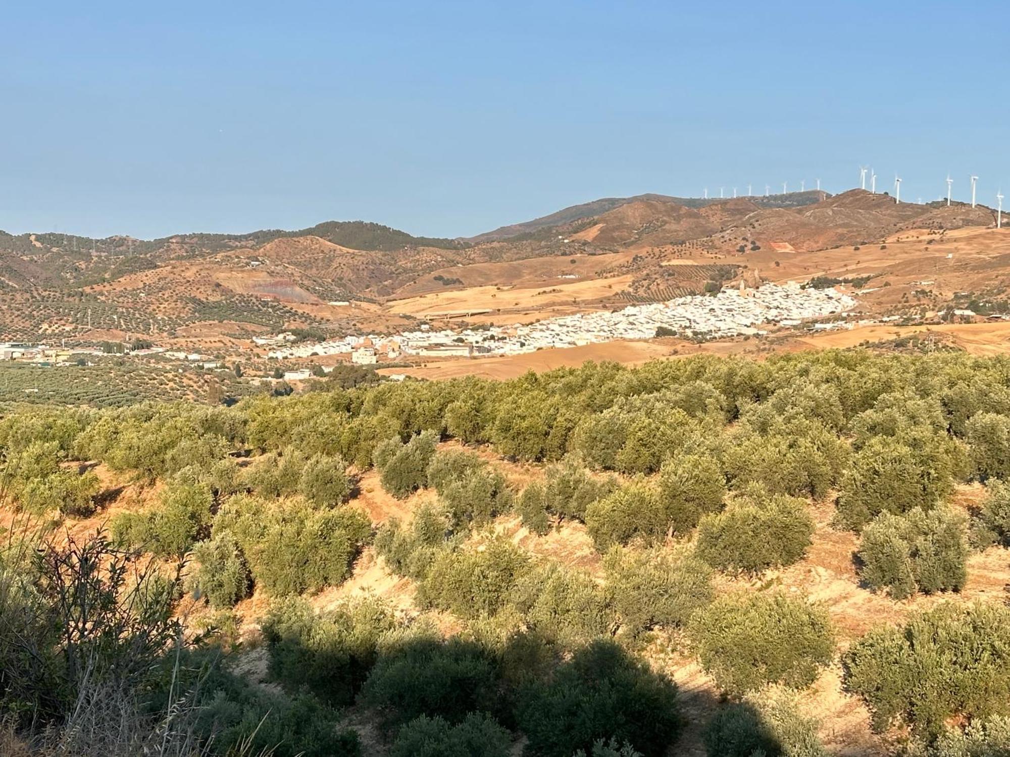 La Casa Azul Διαμέρισμα Ardales Εξωτερικό φωτογραφία